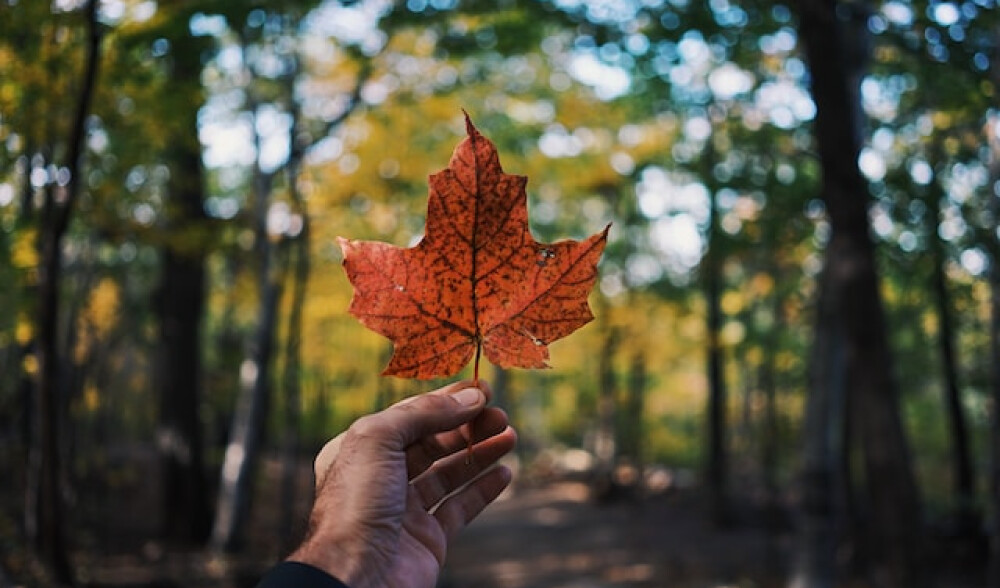 home-care-canada