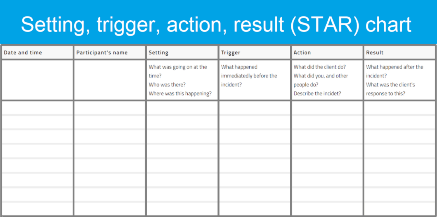 NDIS progress notes template in disability support star chart with details